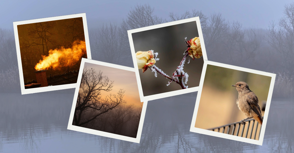 Természetfotó vetítés