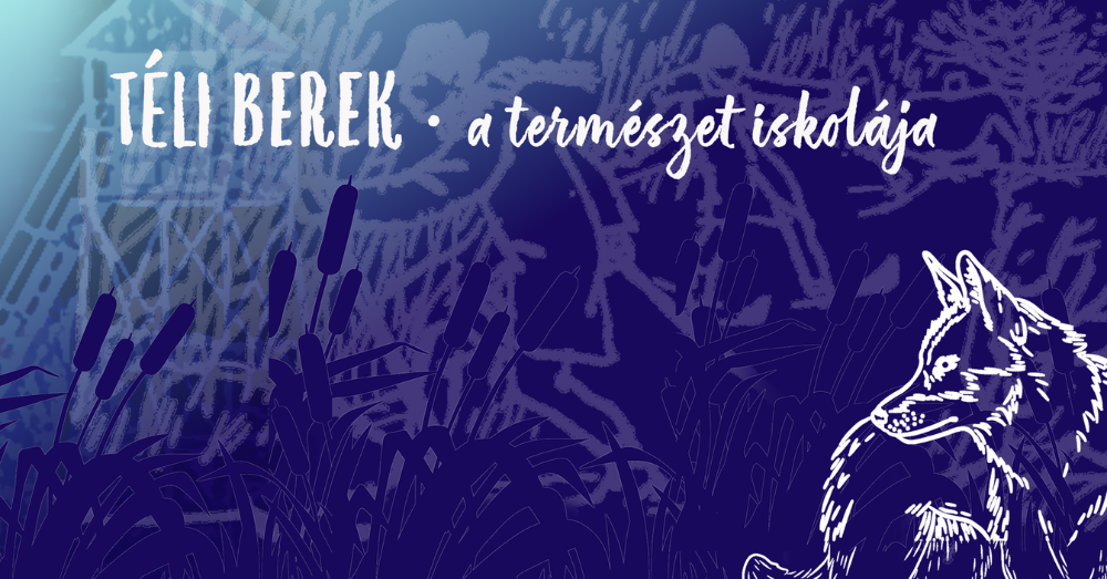 Téli berek - családi nap december 13-án