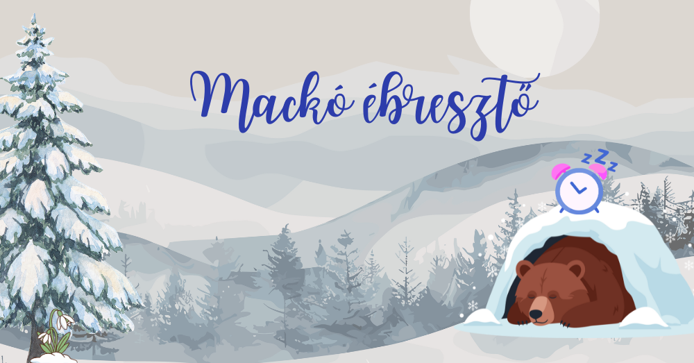 Mackóébresztő kreatív délután