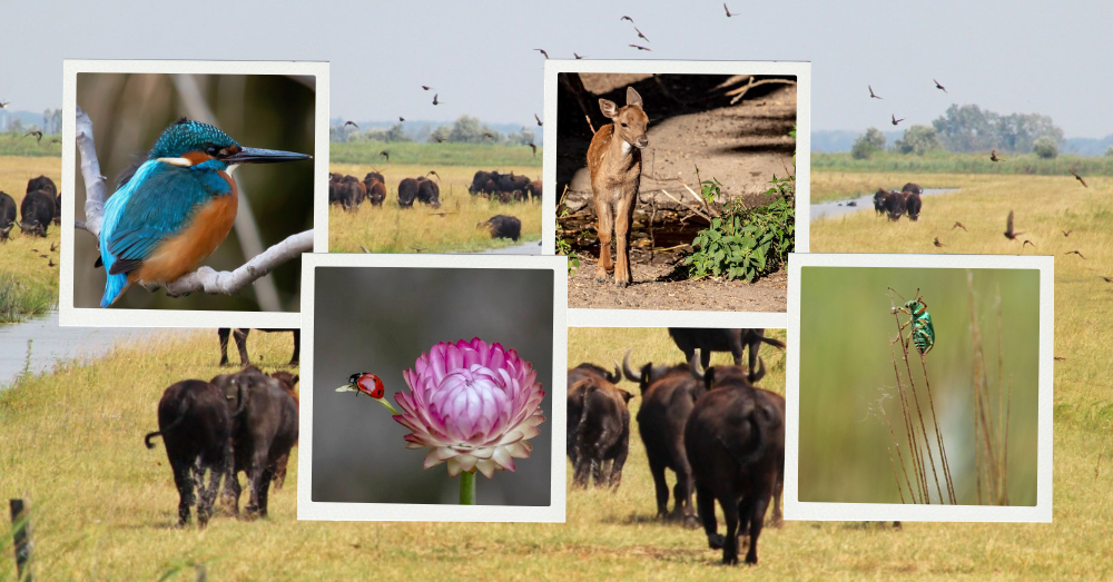 Terbe Rezső kiállítása