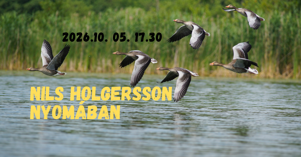Nils Holgersson nyomában - Harrach Ágnes előadása