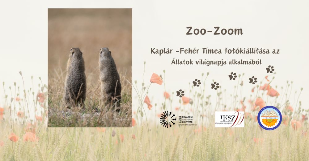 Zoo-Zoom