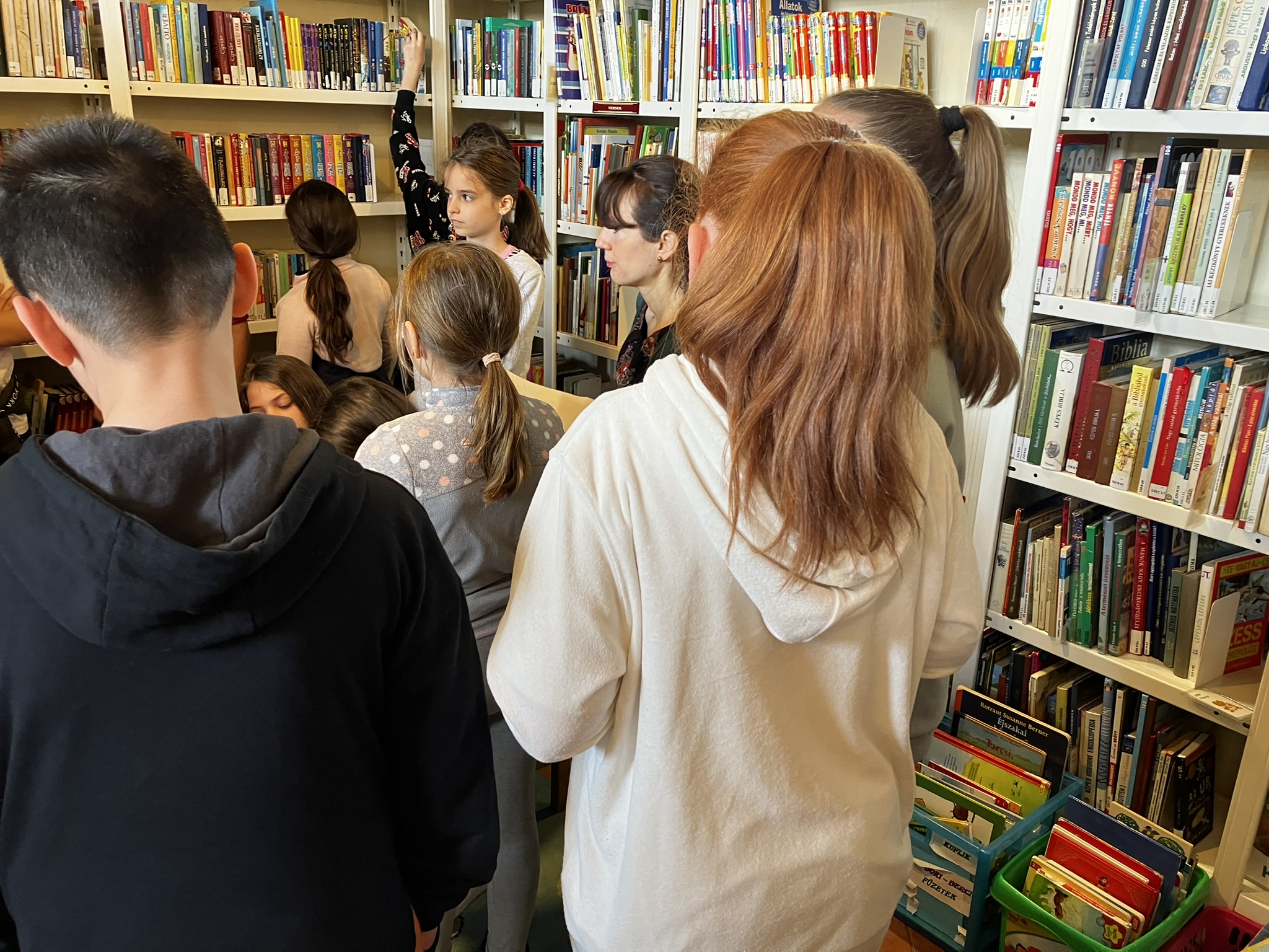 iskolások a könyvtárban
