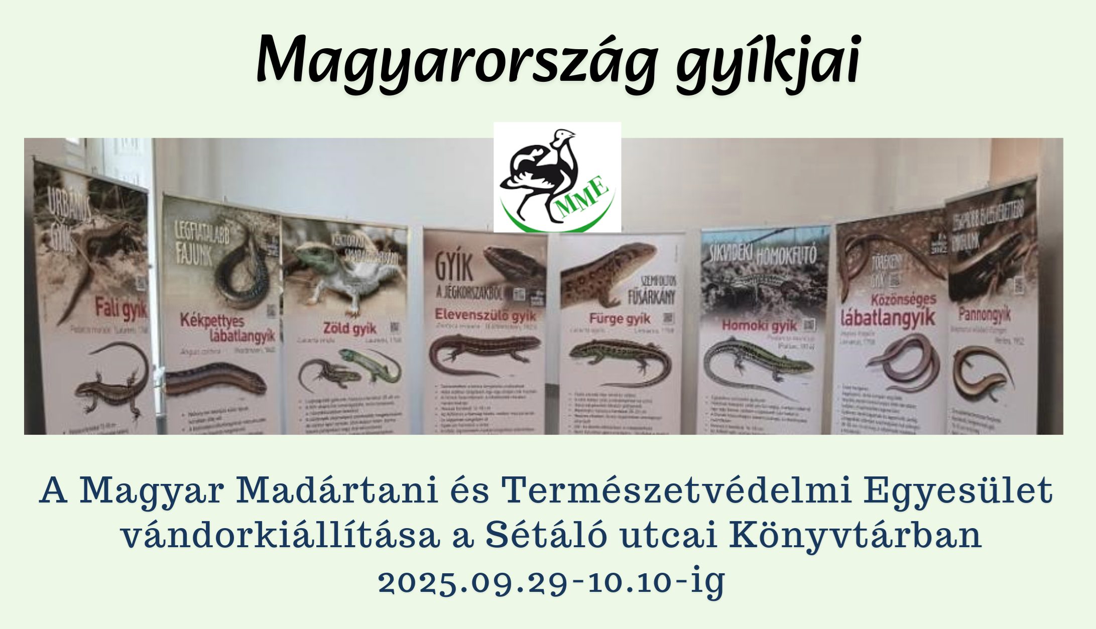 a kiállítás plakátjai