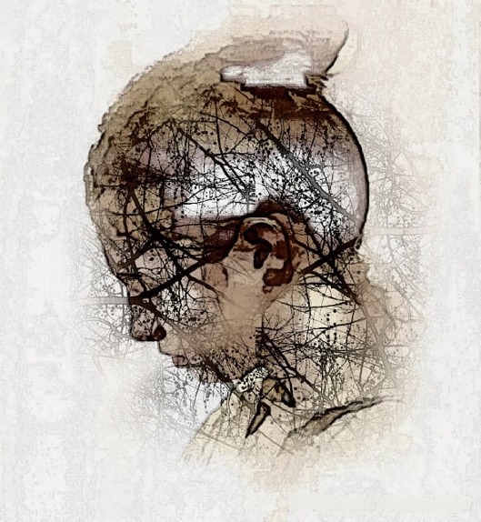Emberi fej ágakból rajzolva