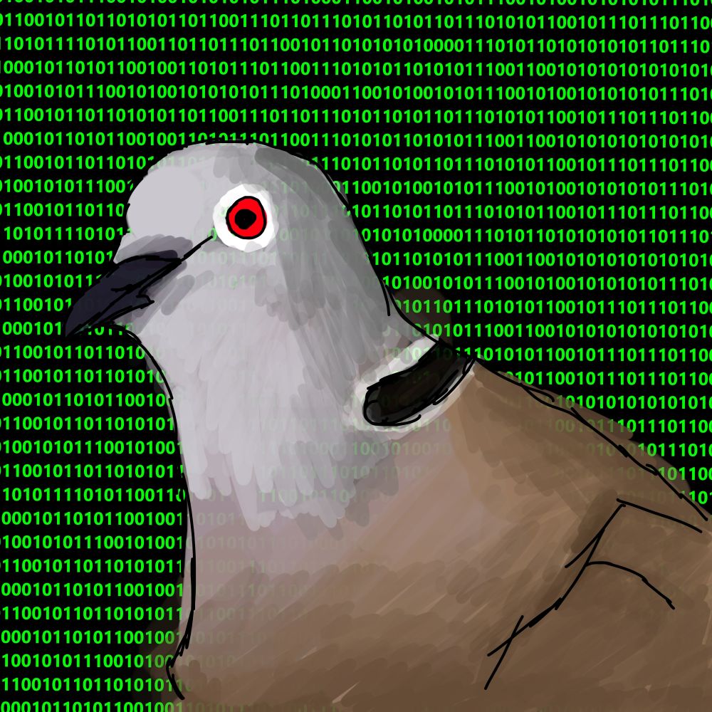 Galamb, háttérben programozási 0-k és 1-esek - grafika