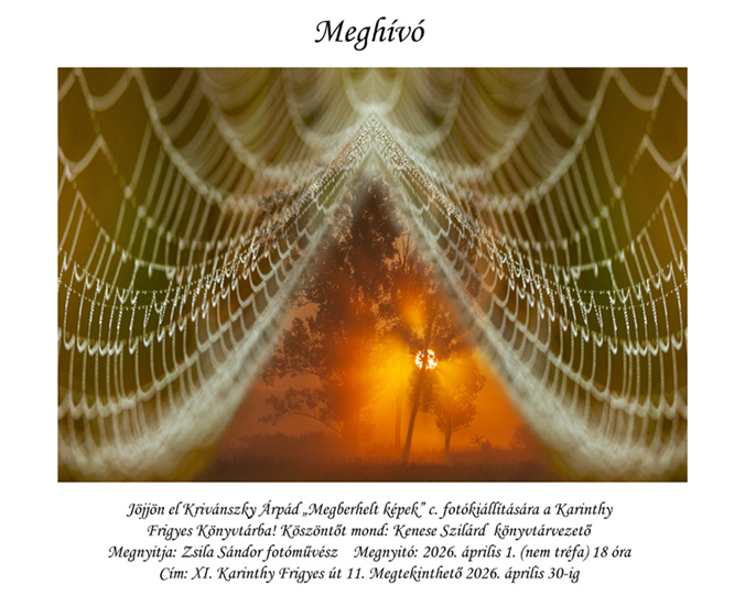 pókháló hajnali harmattal