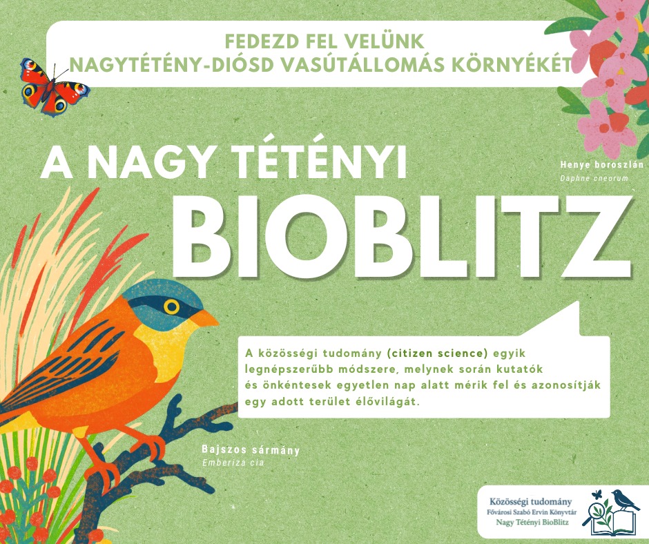 Madarak és növények rajza a plakáton