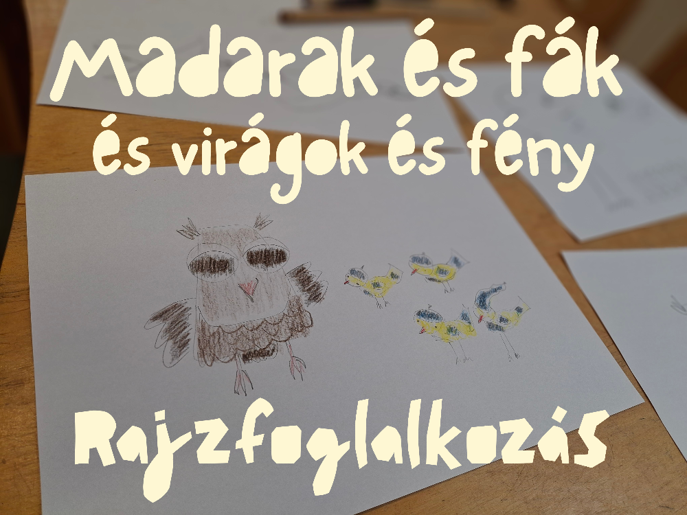 Rajzolt bagoly és madarak