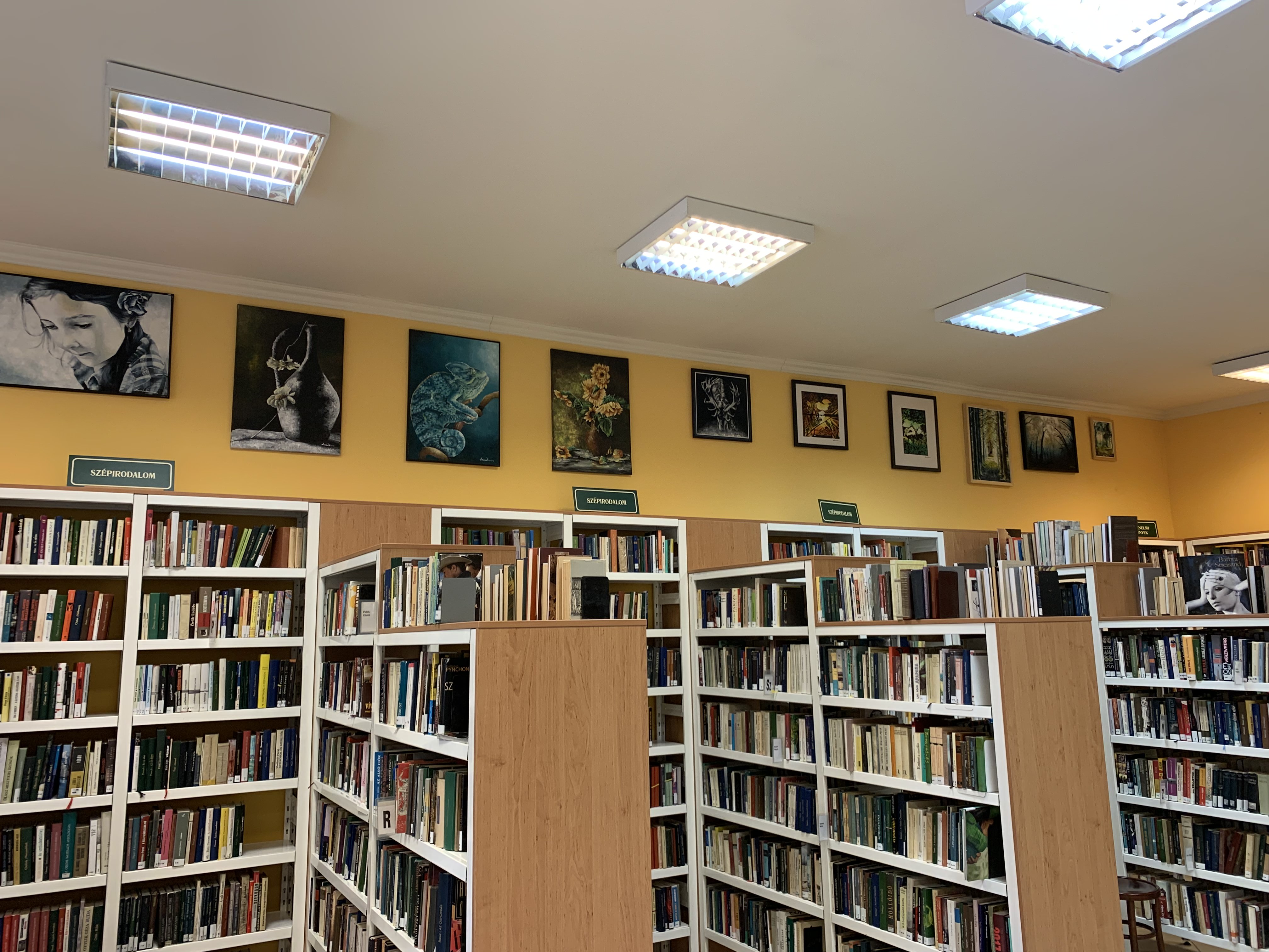 Csanádi Andea képkiállítása a könyvtárban.