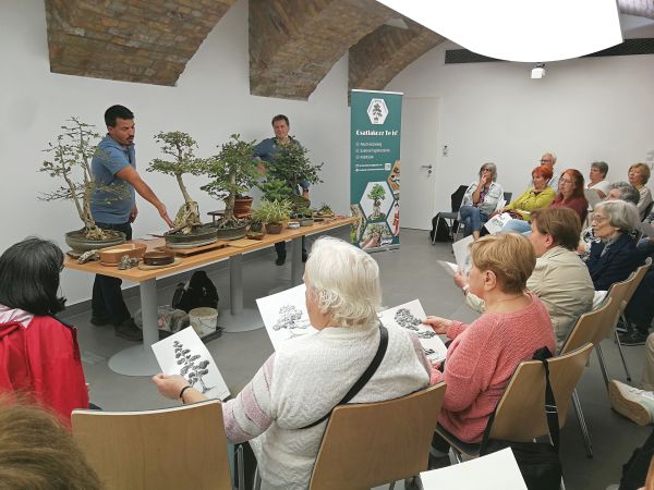 Bonsai simogató