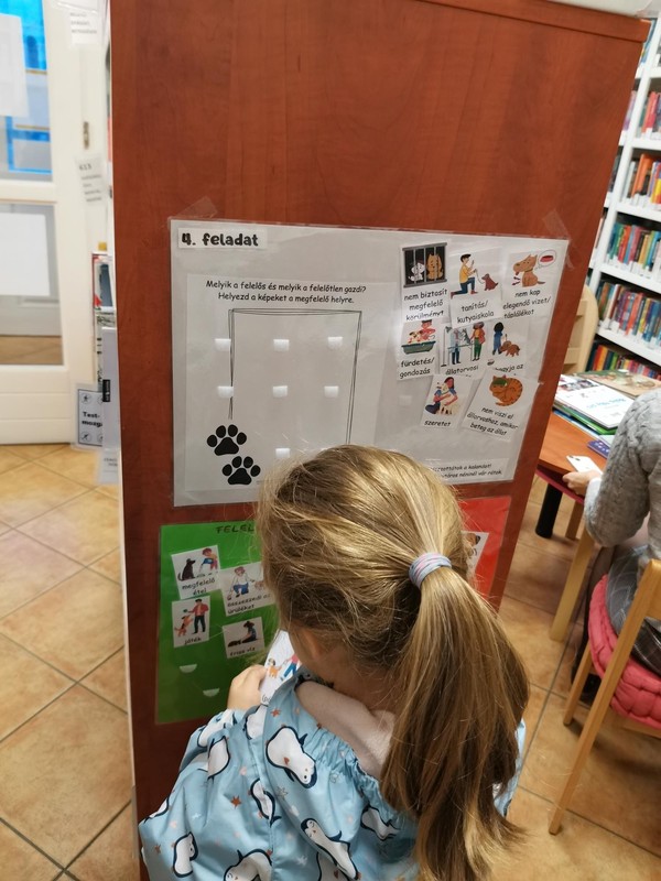 Beszégessünk a helyes állattartásról - gyerek megoldja a feladatot