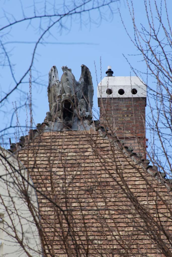 The tin dragon on the roof