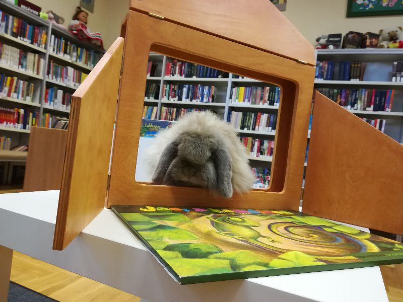 Nyuszi a könyvtárban - gyereknap