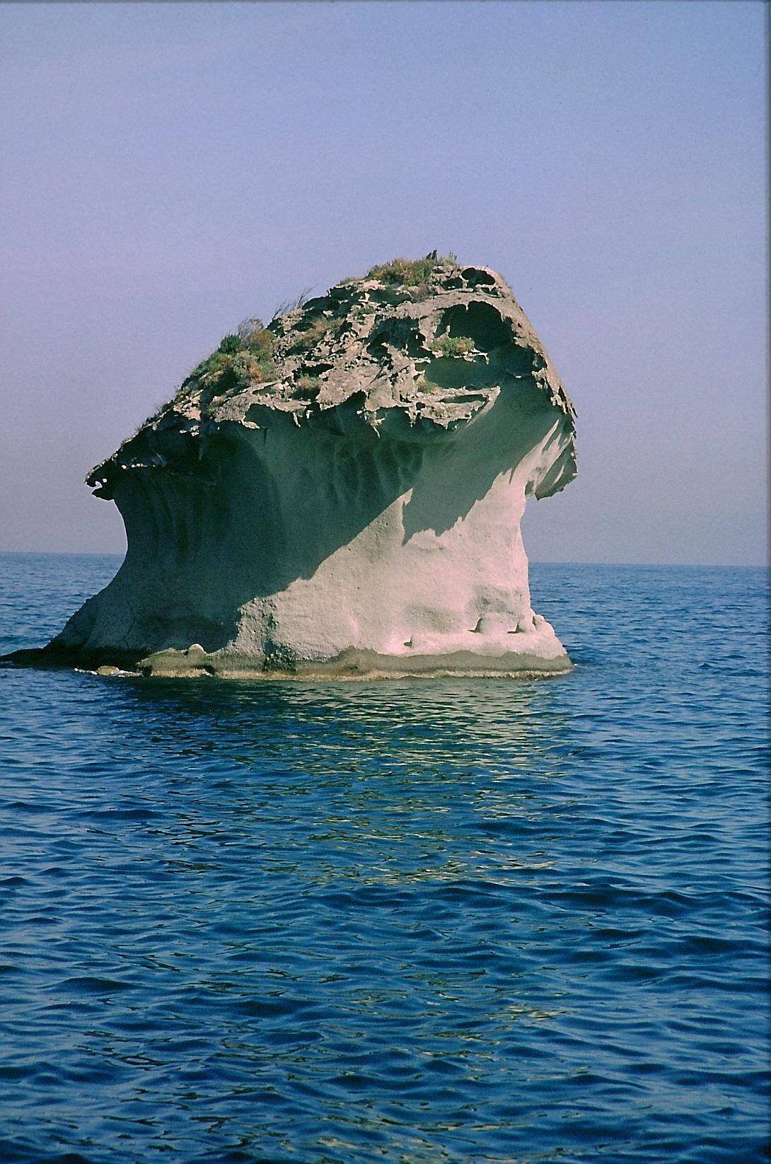  Ischia Fungo Lacco Ameno – Andreas Wahra – Wikimedia 