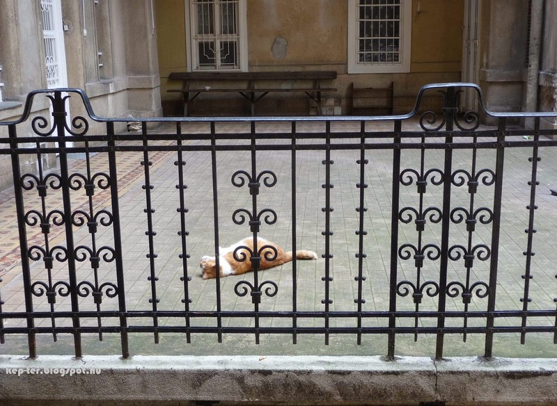 The railing on the courtyard