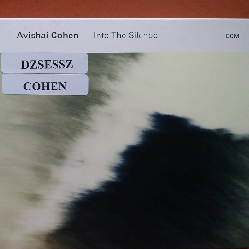 Avishai Cohen Into the Silence című album borítója