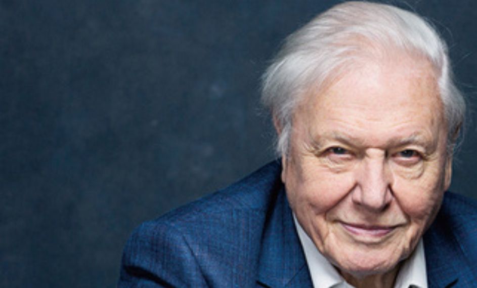 Sir David Attenborough 